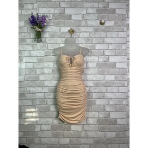 NWT Tiger Mist Morgana Cream Bodycon Dress